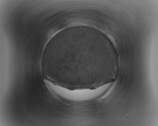 X0000093231529200710101354