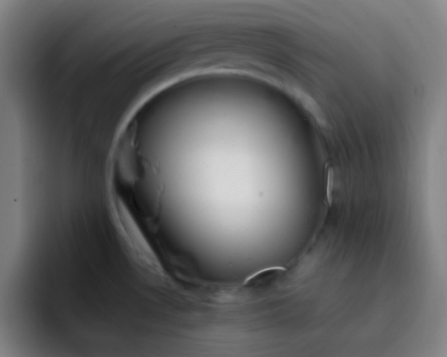 X0000093231530200710101354