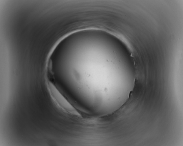 X0000093231532200710101354