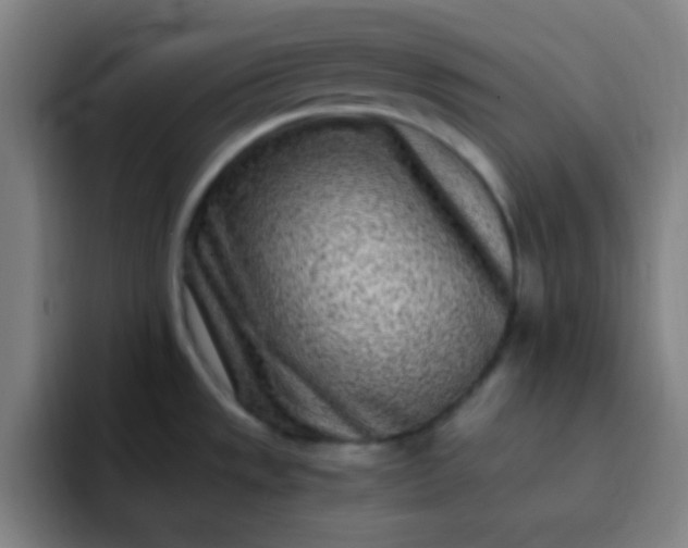 X0000093231533200710101354