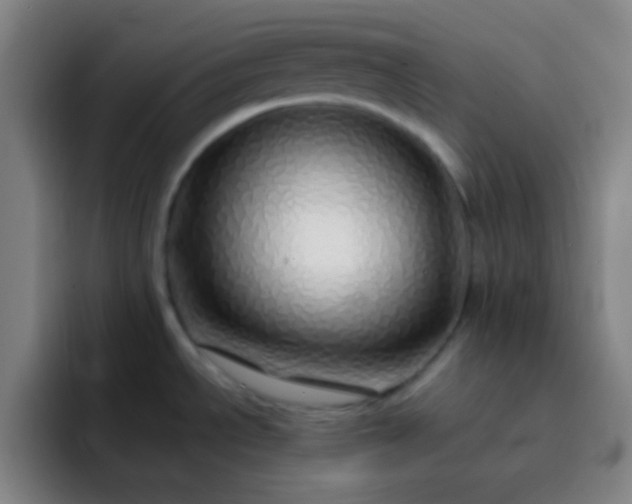 X0000093231534200710101354