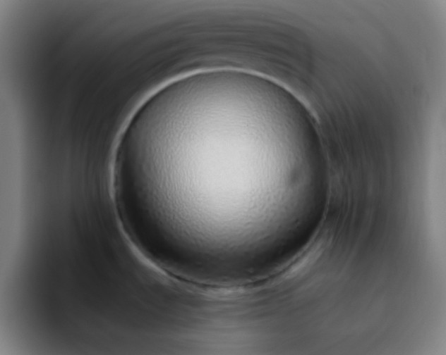 X0000093231535200710101354