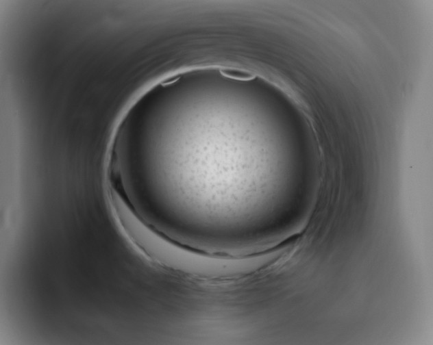 X0000093231536200710101354