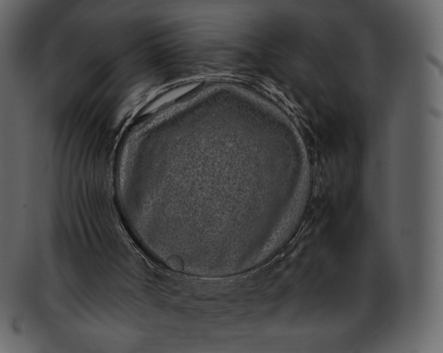 X0000093230002200710171429