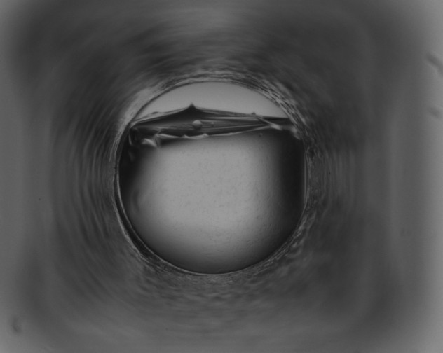 X0000093230003200710171429