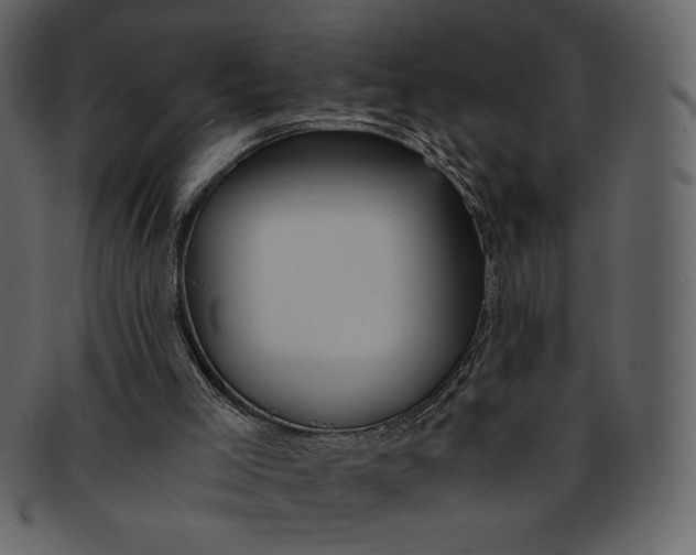 X0000093230005200710171429