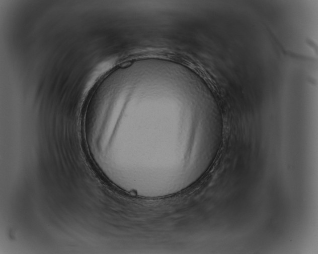 X0000093230006200710171429