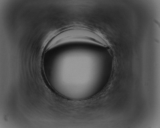 X0000093230007200710171429