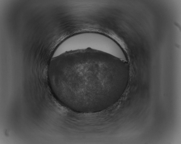 X0000093230009200710171429