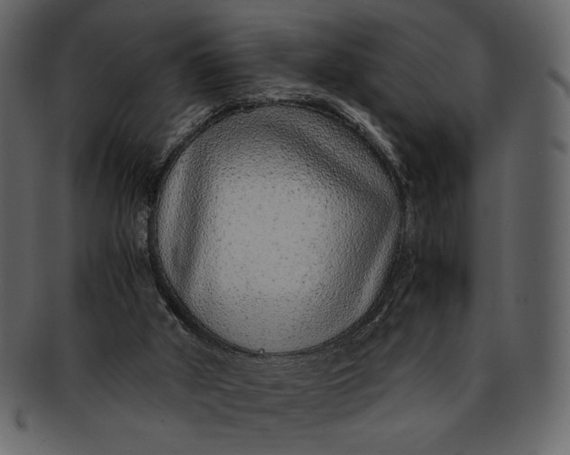 X0000093230010200710171429