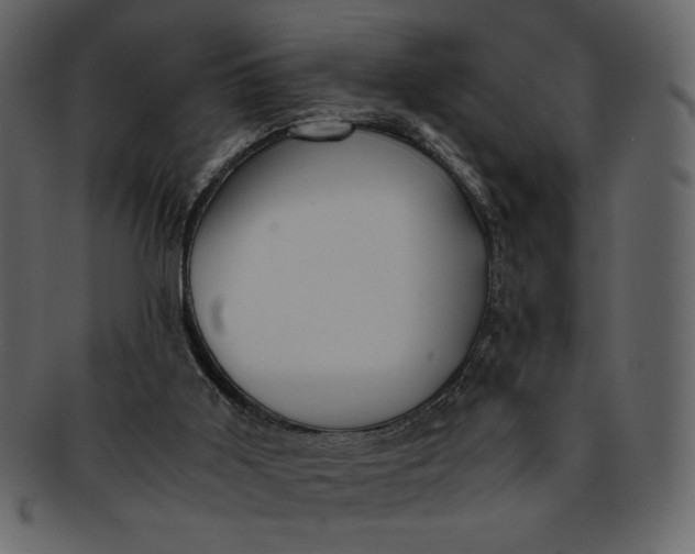 X0000093230011200710171429