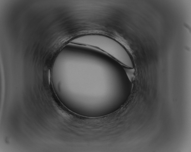 X0000093230013200710171429