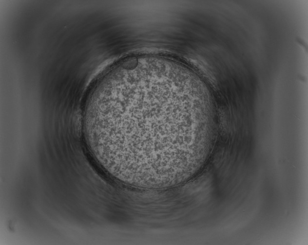 X0000093230016200710171428