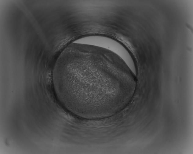 X0000093230017200710171428