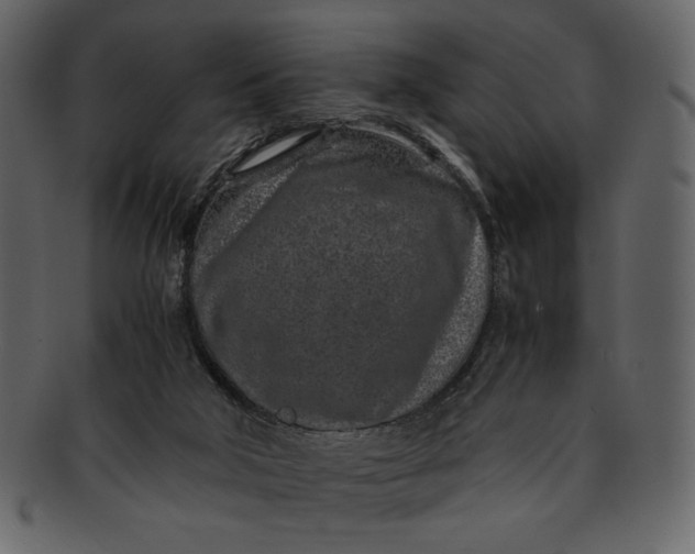 X0000093230018200710171428