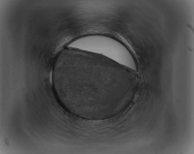 X0000093230019200710171428