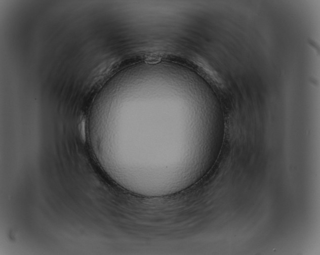 X0000093230022200710171428