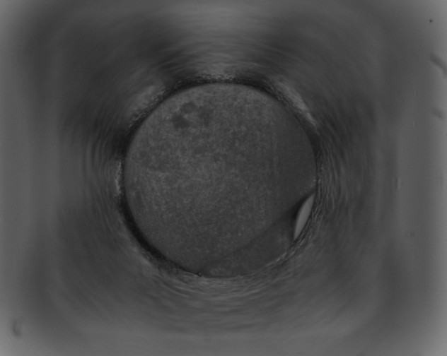 X0000093230023200710171428