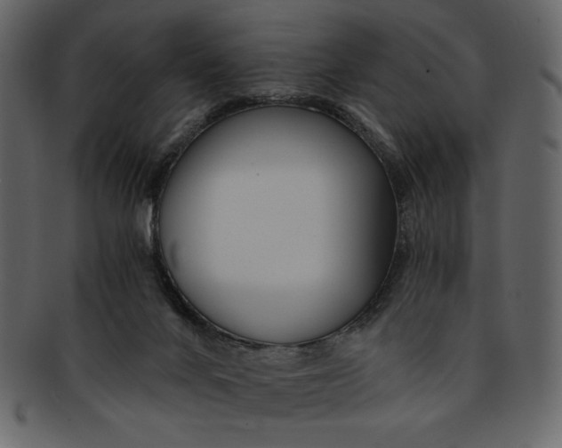 X0000093230024200710171428