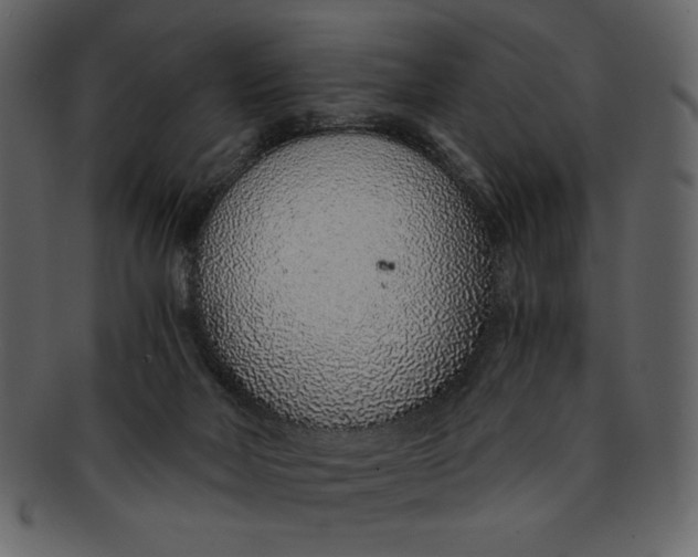 X0000093230026200710171428