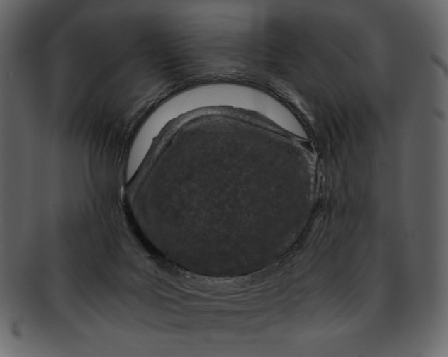 X0000093230027200710171428