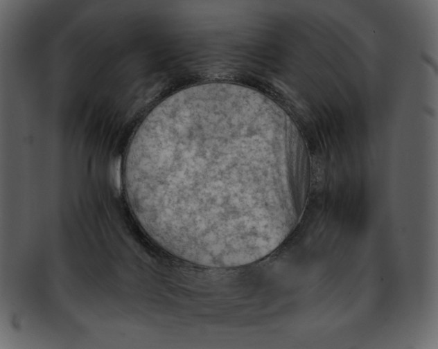 X0000093230028200710171428