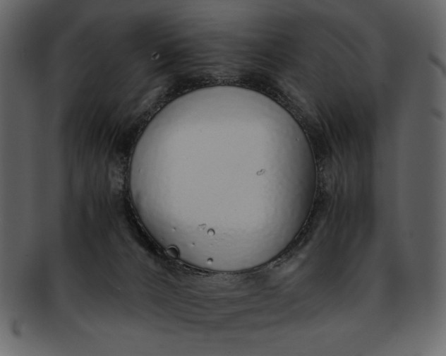 X0000093230032200710171428