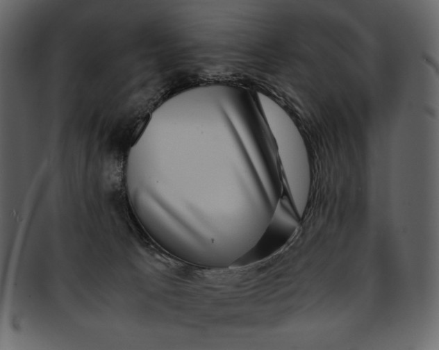 X0000093230033200710171428