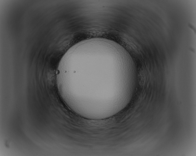 X0000093230034200710171428