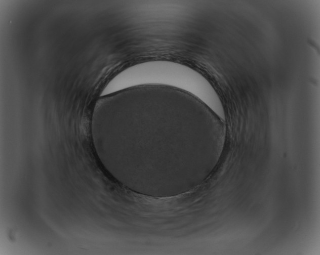 X0000093230035200710171428