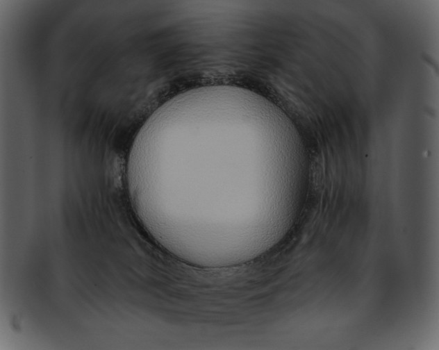 X0000093230038200710171428