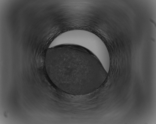 X0000093230039200710171428