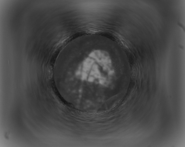 X0000093230043200710171428