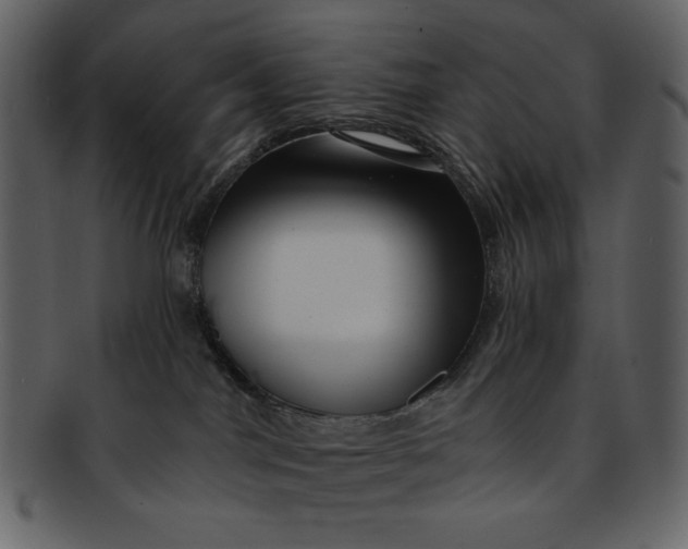 X0000093230044200710171428