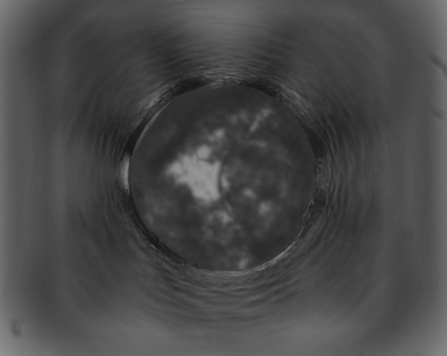 X0000093230047200710171428