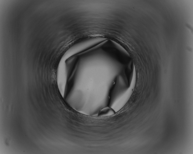 X0000093230048200710171428