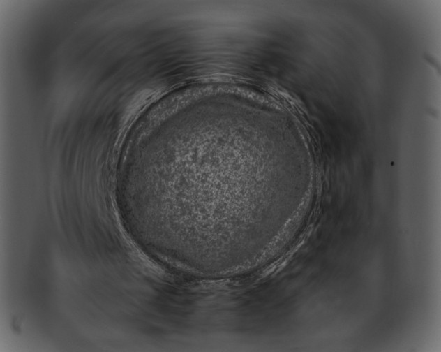 X0000093230049200710171427