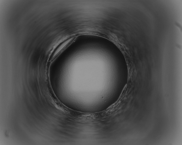 X0000093230050200710171427