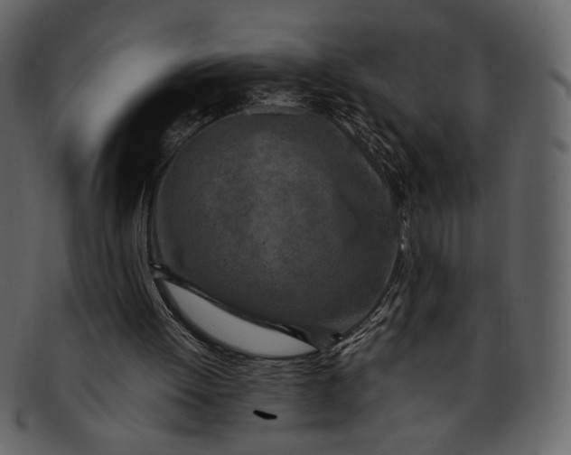 X0000093230052200710171427