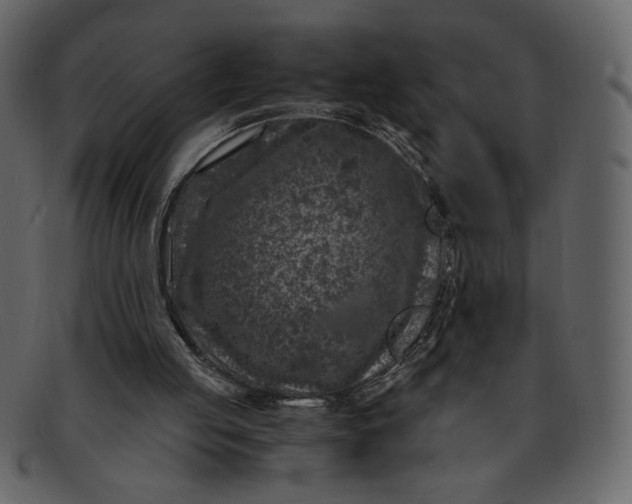 X0000093230053200710171427