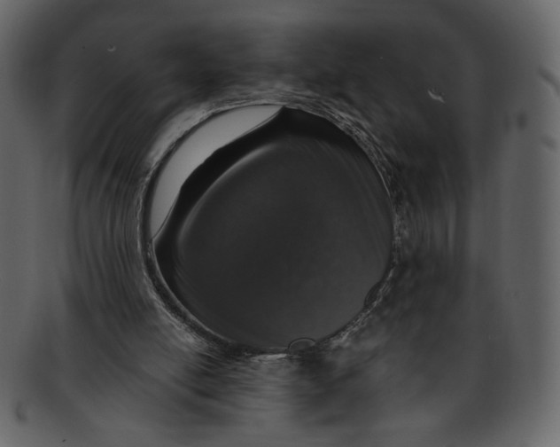 X0000093230054200710171427