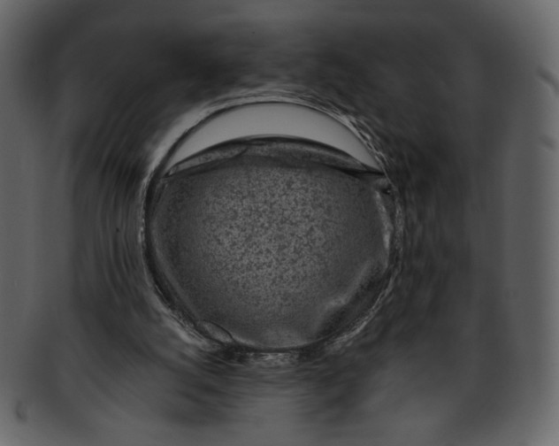 X0000093230056200710171427