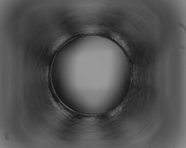 X0000093230058200710171428