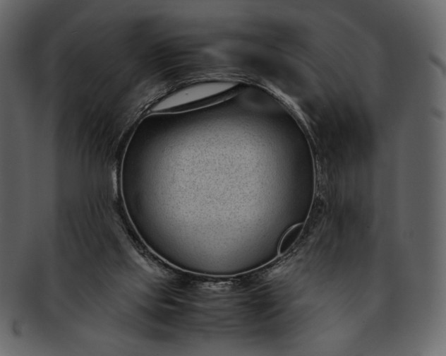 X0000093230061200710171428