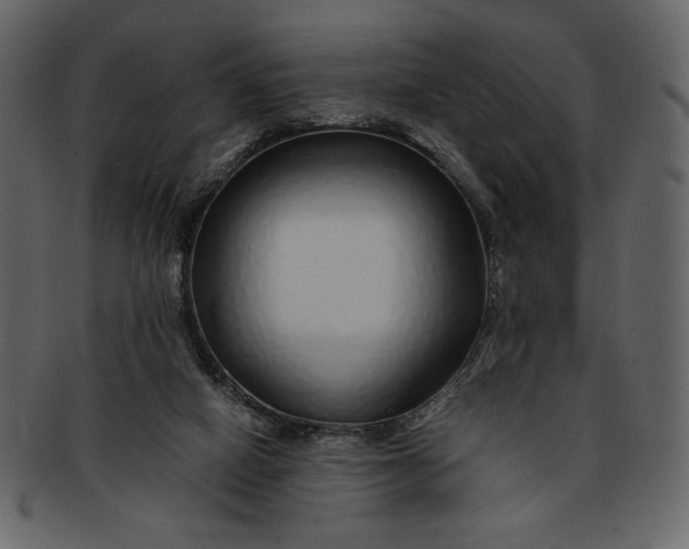 X0000093230066200710171428