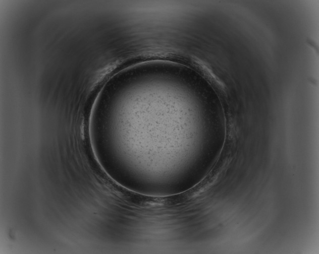 X0000093230068200710171428