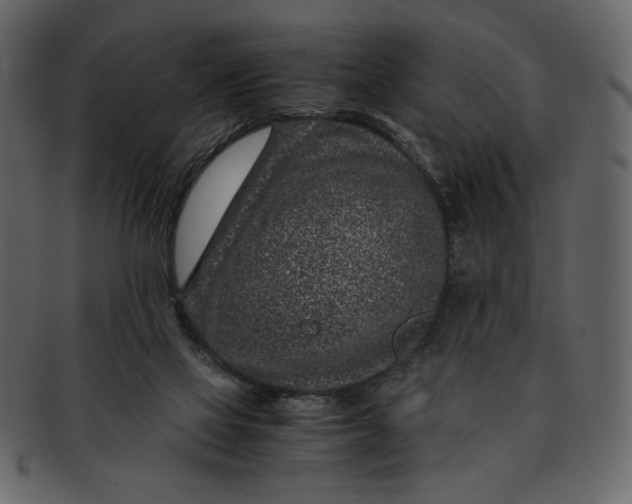 X0000093230069200710171428