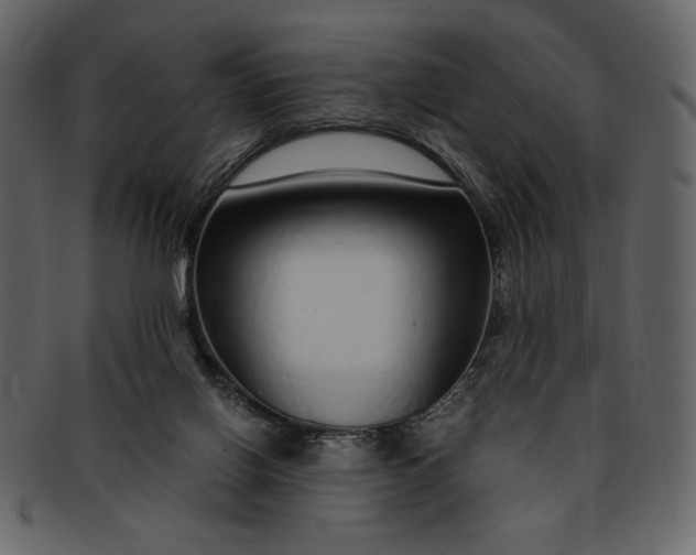 X0000093230070200710171428