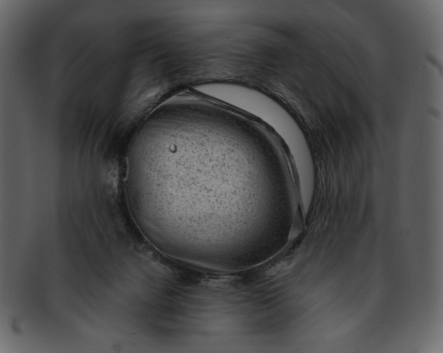 X0000093230072200710171428