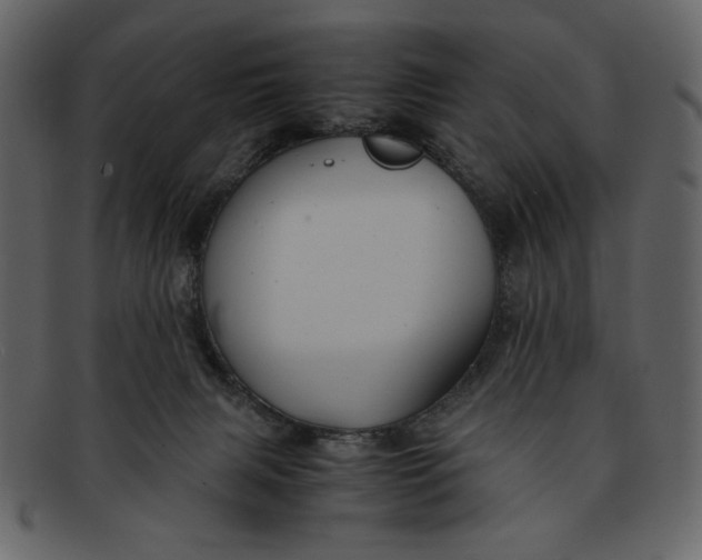 X0000093230079200710171428